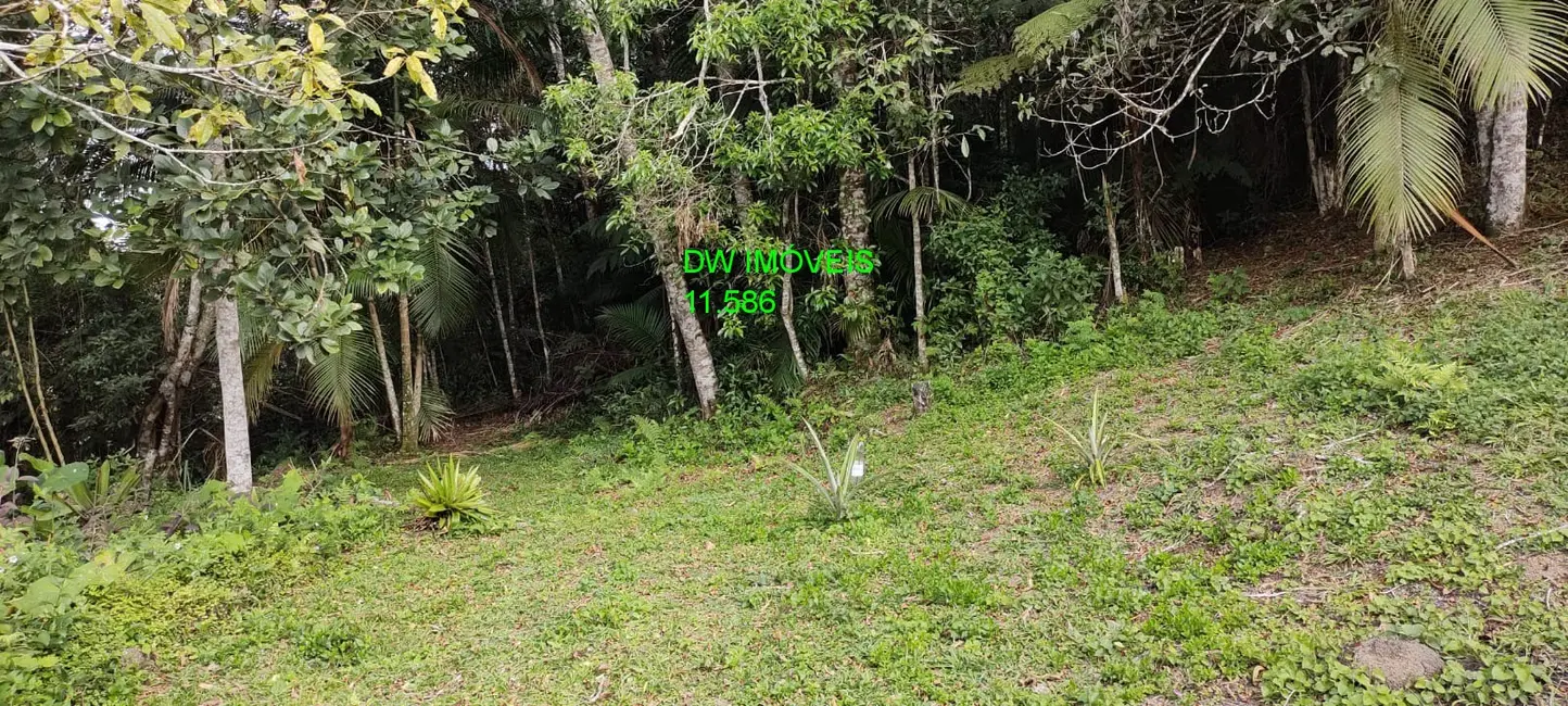 Foto 6 de Chácara com 3 quartos à venda, 120m2 em Juquitiba - SP