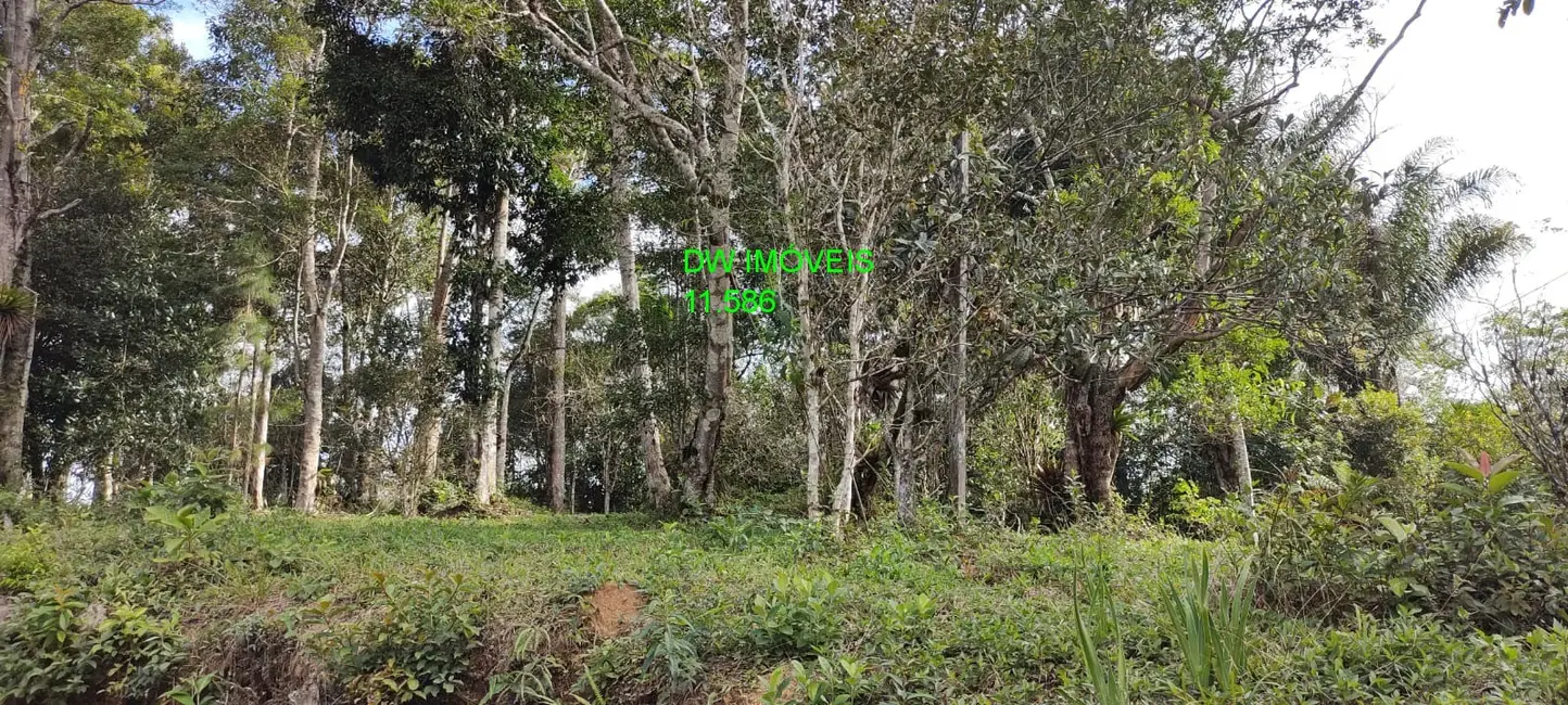 Foto 8 de Chácara com 3 quartos à venda, 120m2 em Juquitiba - SP