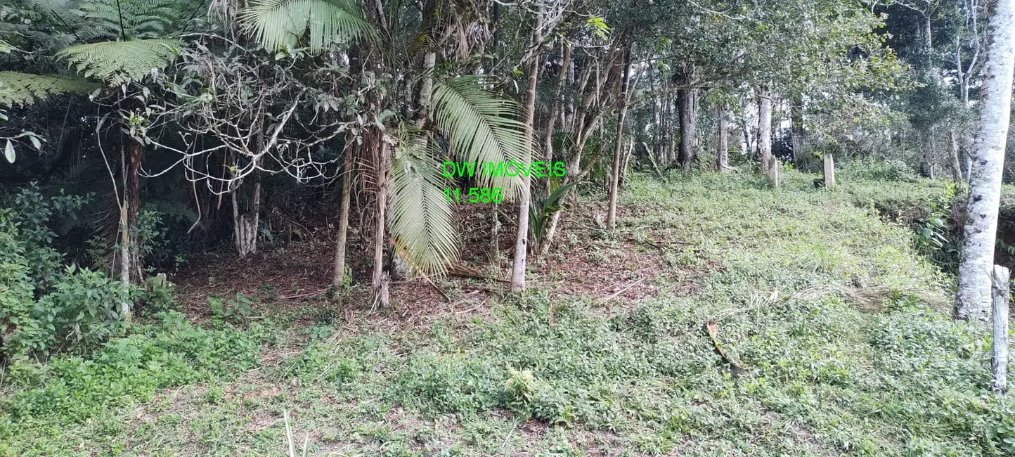 Foto 9 de Chácara com 3 quartos à venda, 120m2 em Juquitiba - SP