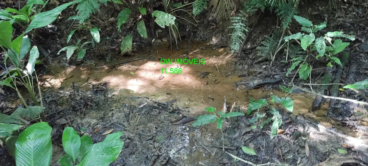 Foto 5 de Sítio / Rancho com 3 quartos à venda, 250m2 em Juquitiba - SP