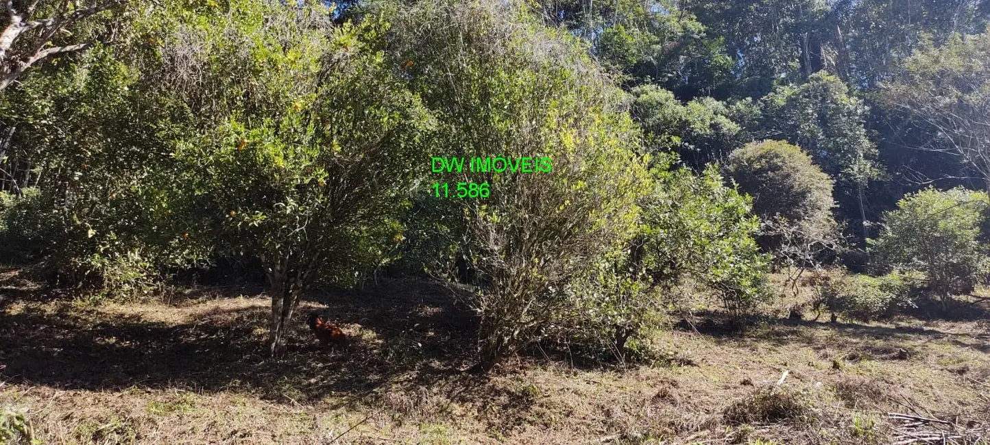 Foto 9 de Sítio / Rancho com 3 quartos à venda, 250m2 em Juquitiba - SP