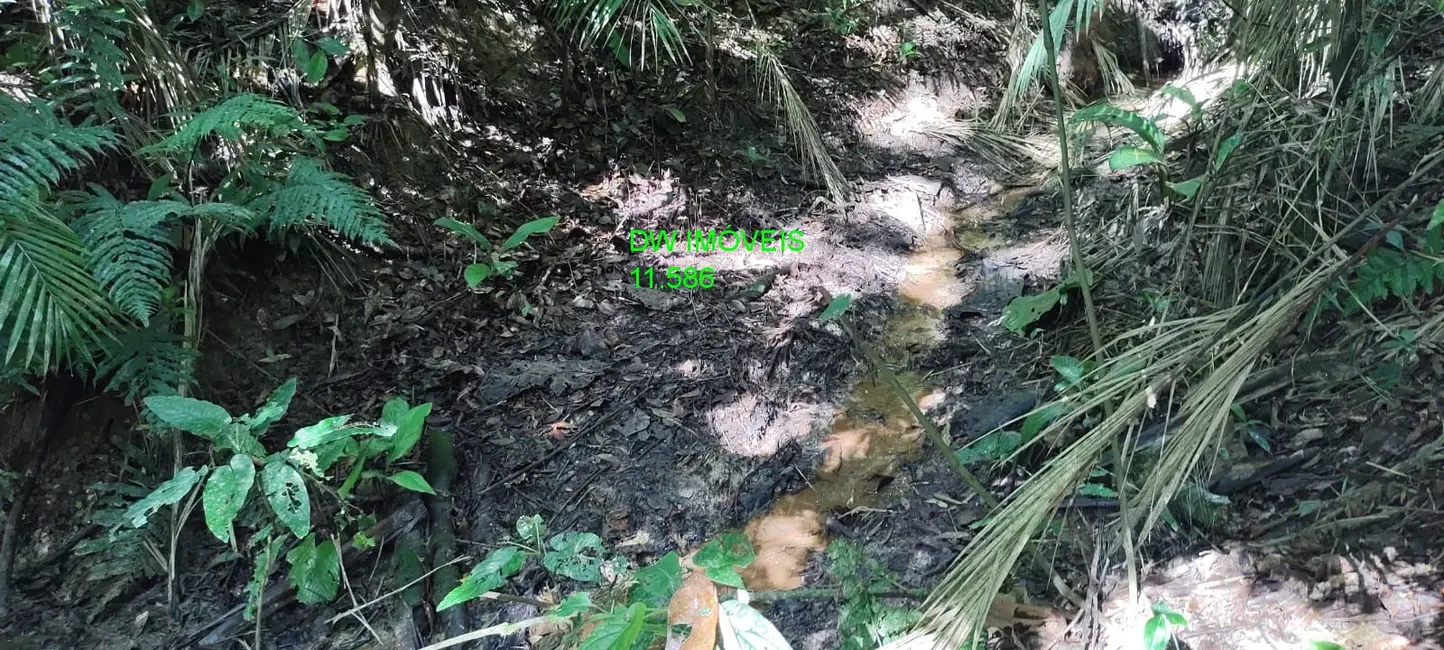 Foto 4 de Sítio / Rancho com 3 quartos à venda, 250m2 em Juquitiba - SP