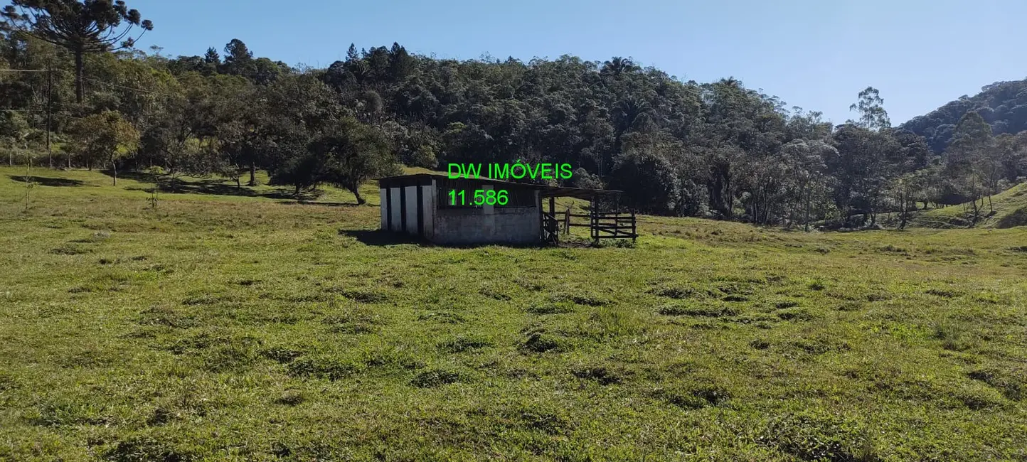 Foto 9 de Sítio / Rancho com 2 quartos à venda, 350m2 em Juquitiba - SP