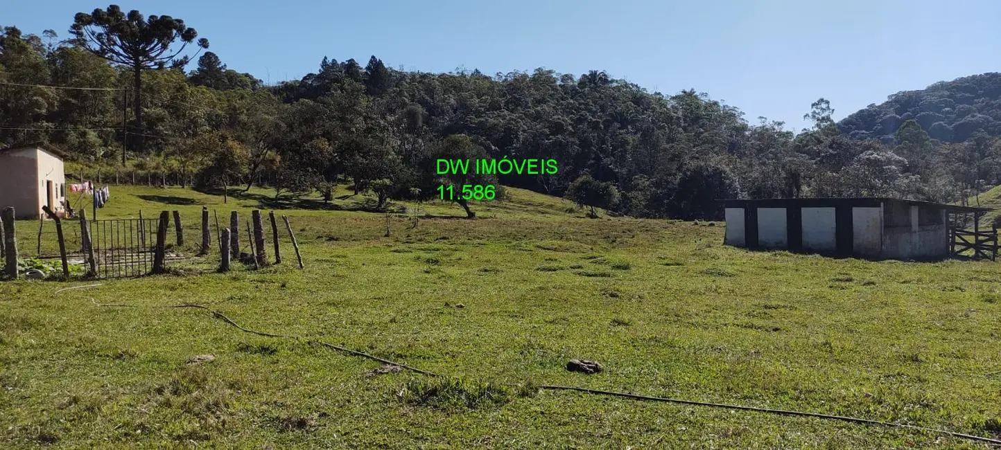 Foto 4 de Sítio / Rancho com 2 quartos à venda, 350m2 em Juquitiba - SP