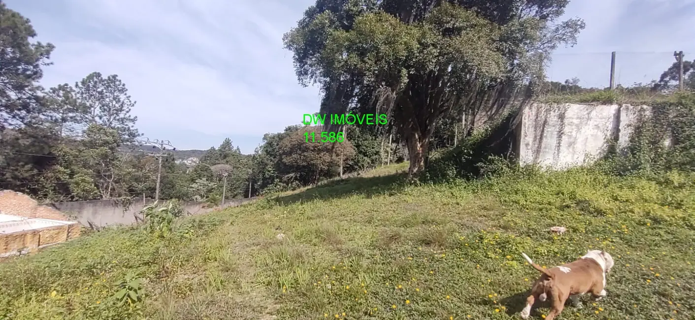 Foto 5 de Chácara com 3 quartos à venda, 250m2 em Palmeiras, Juquitiba - SP