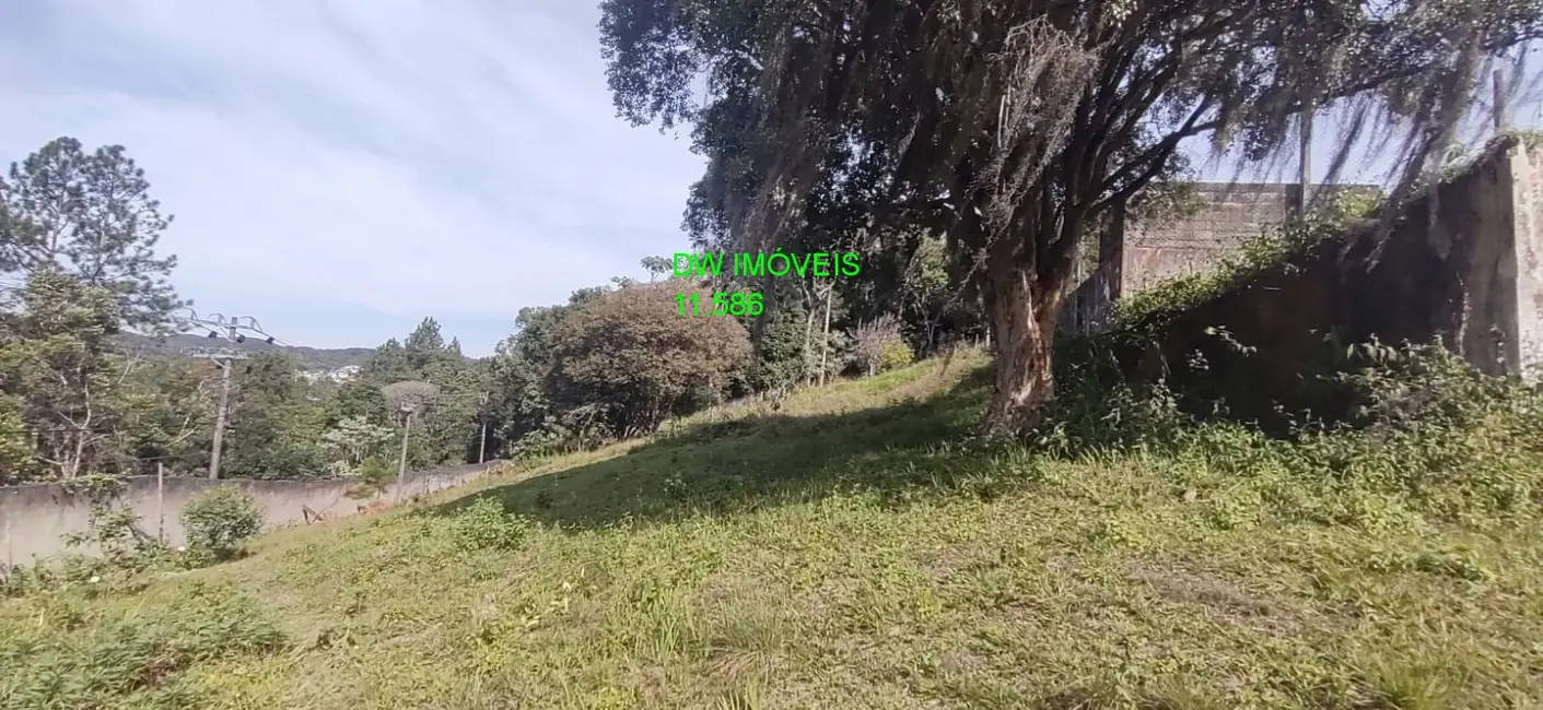 Foto 6 de Chácara com 3 quartos à venda, 250m2 em Palmeiras, Juquitiba - SP