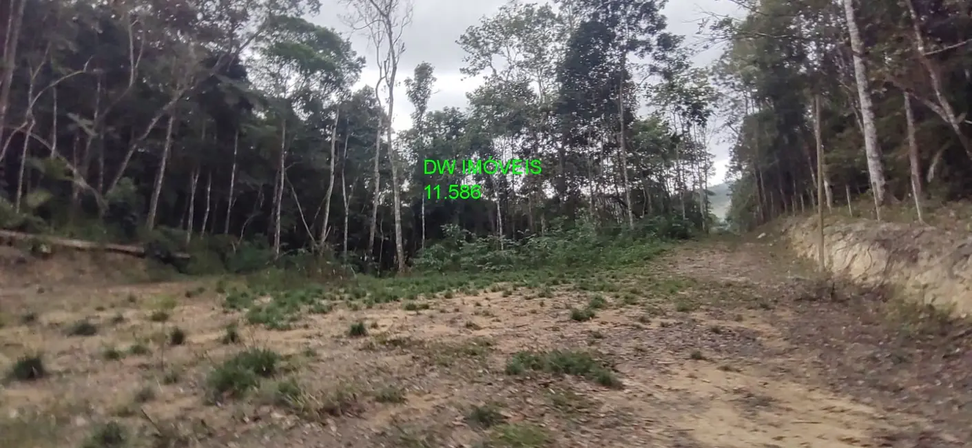 Foto 1 de Terreno / Lote à venda, 9000m2 em Juquitiba - SP