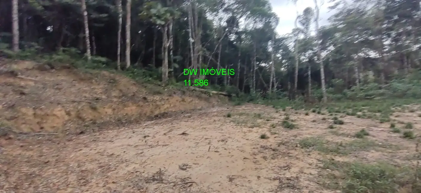 Foto 6 de Terreno / Lote à venda, 9000m2 em Juquitiba - SP