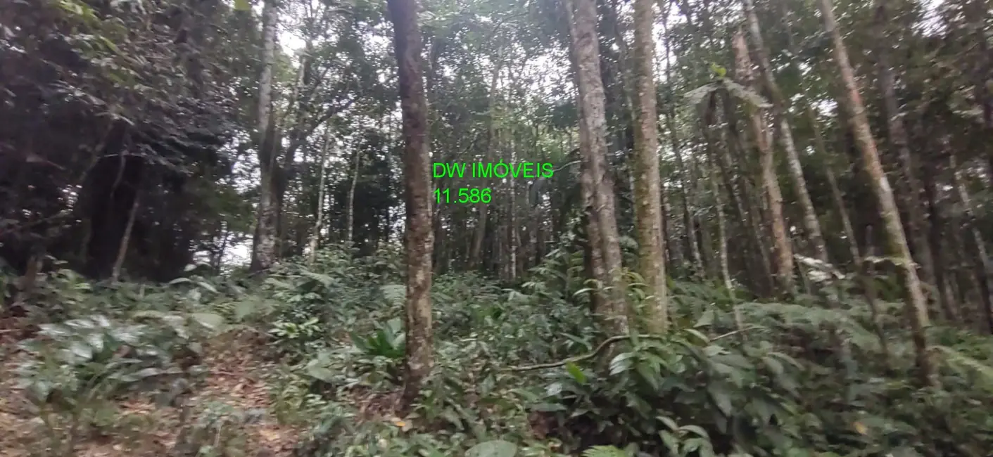 Foto 5 de Terreno / Lote à venda, 9000m2 em Juquitiba - SP