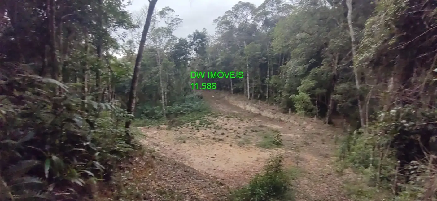 Foto 3 de Terreno / Lote à venda, 9000m2 em Juquitiba - SP