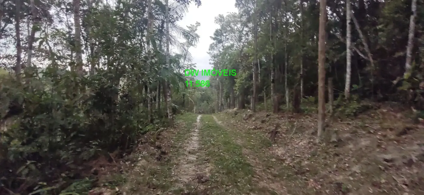 Foto 2 de Terreno / Lote à venda, 9000m2 em Juquitiba - SP
