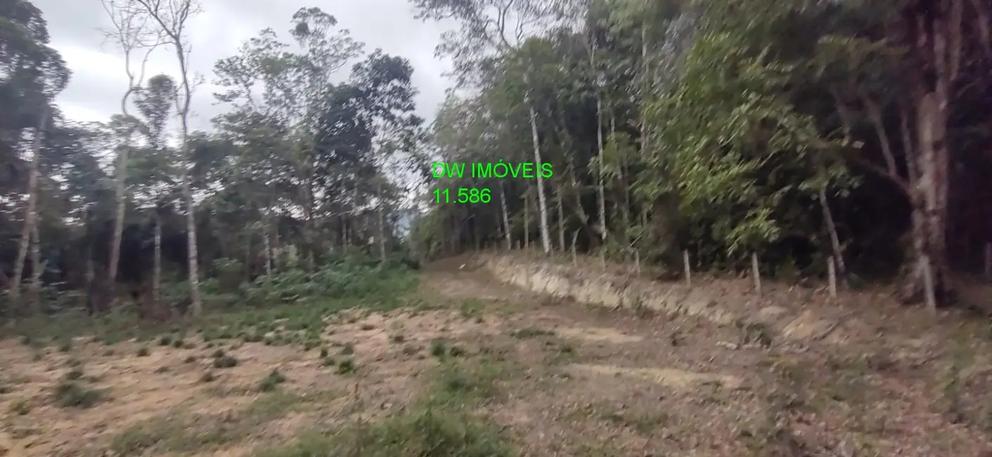 Foto 7 de Terreno / Lote à venda, 9000m2 em Juquitiba - SP