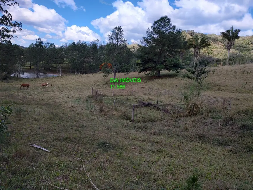 Foto 8 de Sítio / Rancho com 3 quartos à venda, 250m2 em Juquitiba - SP