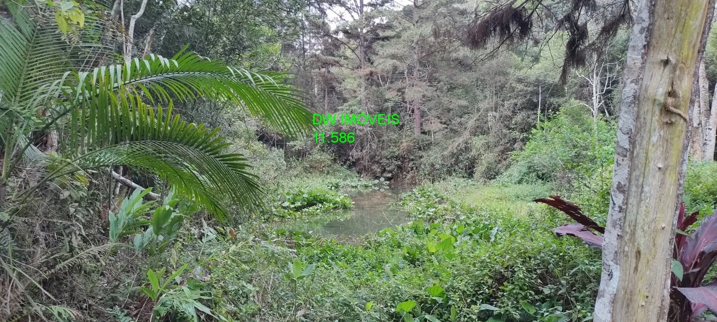 Foto 7 de Chácara com 2 quartos à venda, 250m2 em Juquitiba - SP