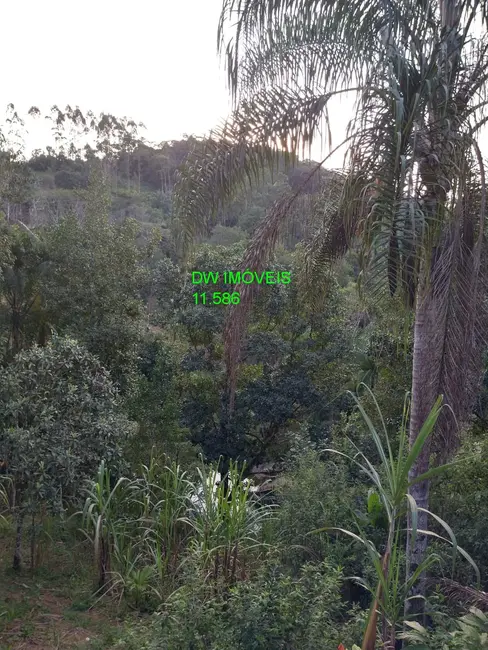 Chácara com 1 quarto à venda, 110m2 em Juquia - SP - imagem 7 Foto 7 de Chácara com 1 quarto à venda, 110m2 em Juquia - SP