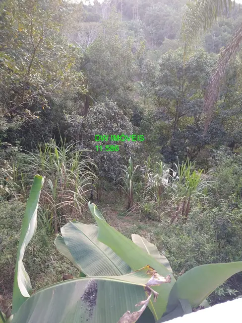 Chácara com 1 quarto à venda, 110m2 em Juquia - SP - imagem 8 Foto 8 de Chácara com 1 quarto à venda, 110m2 em Juquia - SP