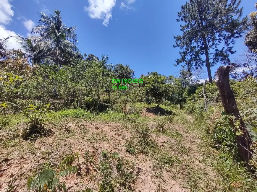 Foto 2 de Chácara com 2 quartos à venda, 95m2 em Barnabés, Juquitiba - SP