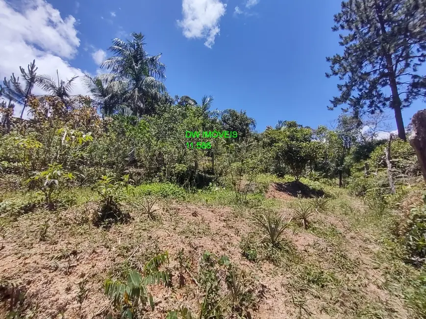 Foto 3 de Chácara com 2 quartos à venda, 95m2 em Barnabés, Juquitiba - SP