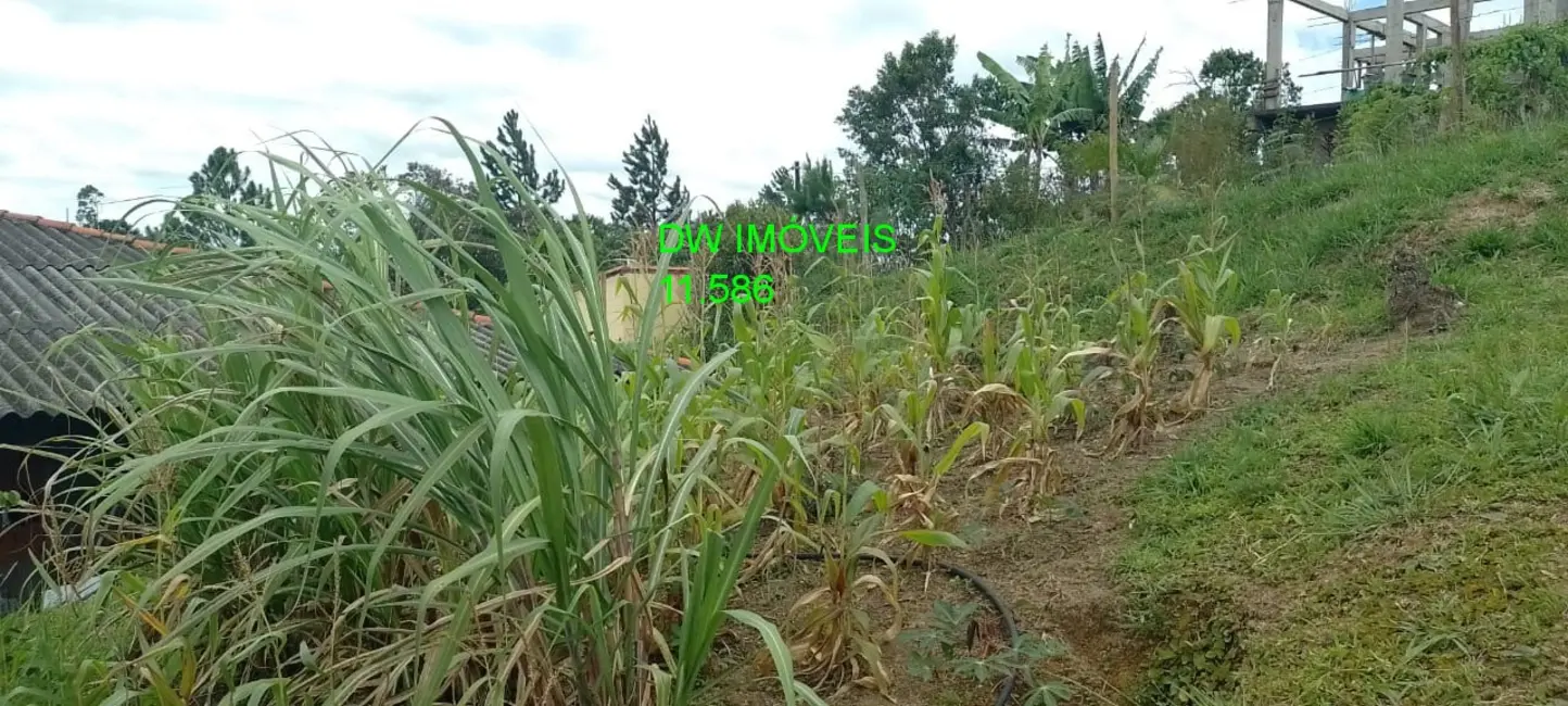 Foto 7 de Terreno / Lote à venda, 550m2 em Sao Lourenco Da Serra - SP