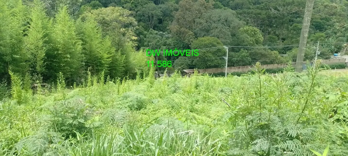 Foto 6 de Terreno / Lote à venda, 550m2 em Sao Lourenco Da Serra - SP