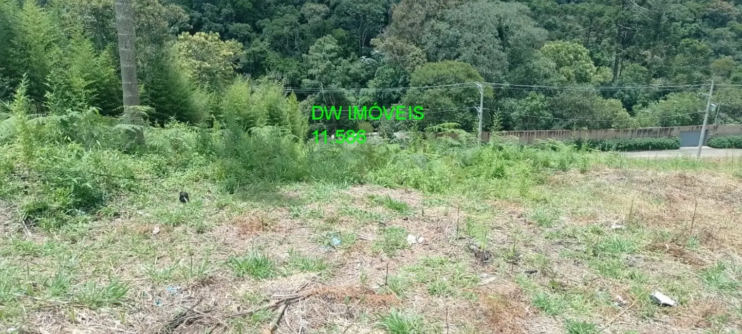 Foto 1 de Terreno / Lote à venda, 550m2 em Sao Lourenco Da Serra - SP