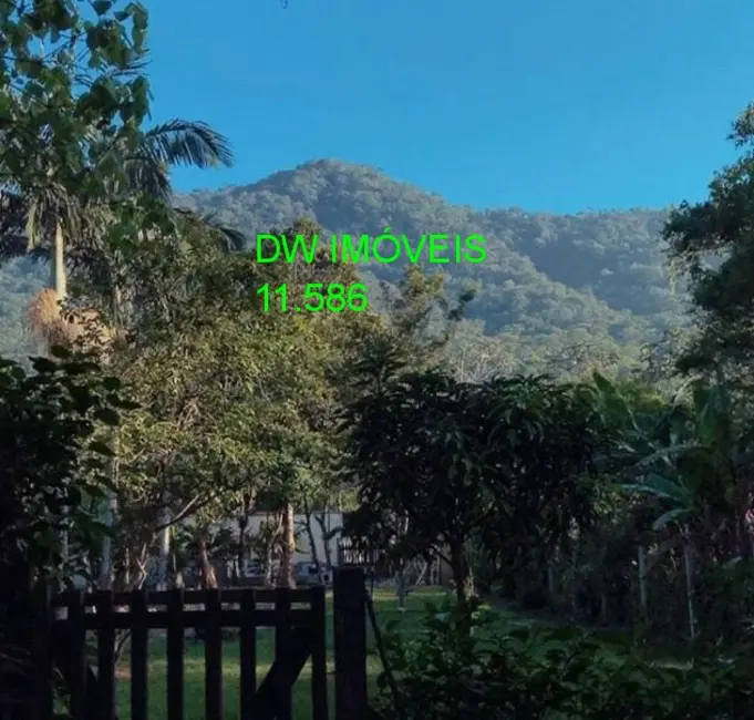 Chácara com 1 quarto à venda, 2000m2 em Iguape - SP - imagem 3 Foto 3 de Chácara com 1 quarto à venda, 2000m2 em Iguape - SP