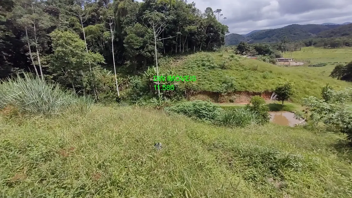 Sítio / Rancho com 5 quartos à venda, 350m2 em Miracatu - SP - imagem 9 Foto 9 de Sítio / Rancho com 5 quartos à venda, 350m2 em Miracatu - SP