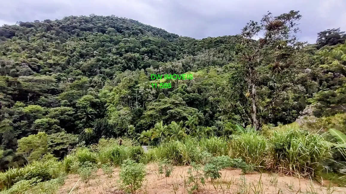 Foto 4 de Sítio / Rancho com 2 quartos à venda, 100m2 em Juquia - SP