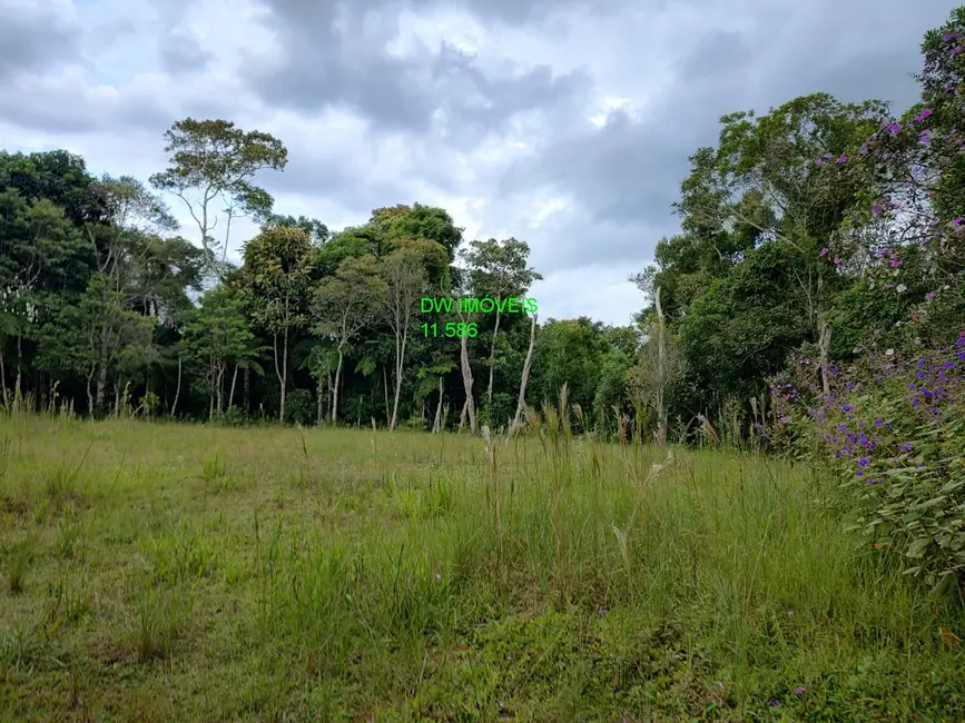 Foto 5 de Terreno / Lote à venda, 91000m2 em Juquitiba - SP