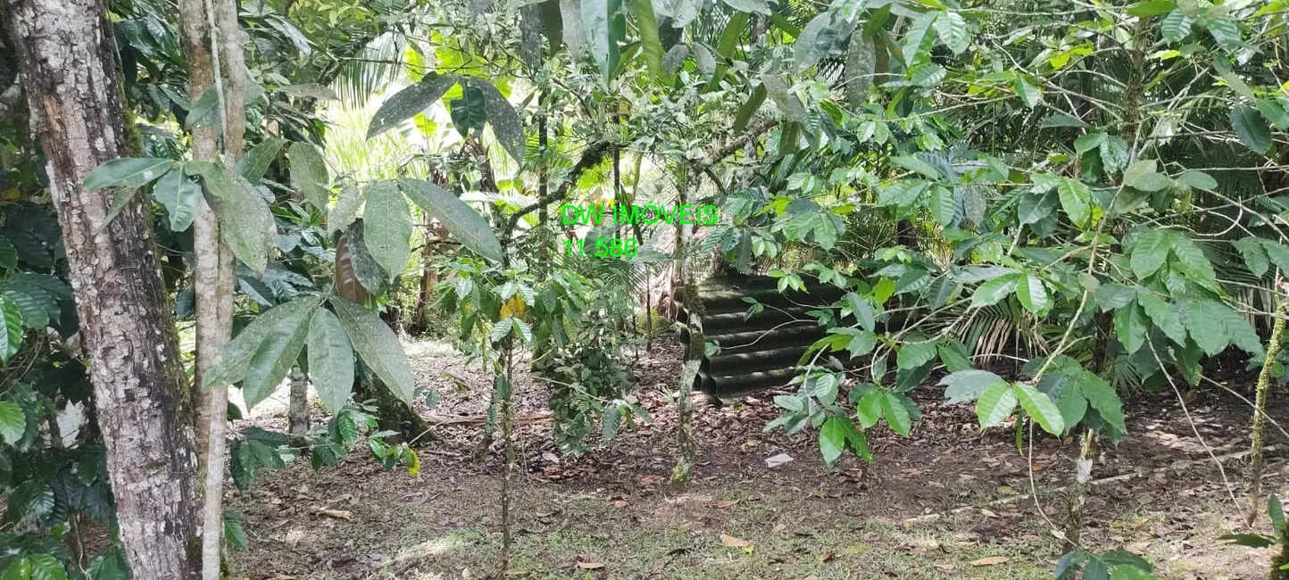 Foto 3 de Chácara com 2 quartos à venda, 180m2 em Juquitiba - SP