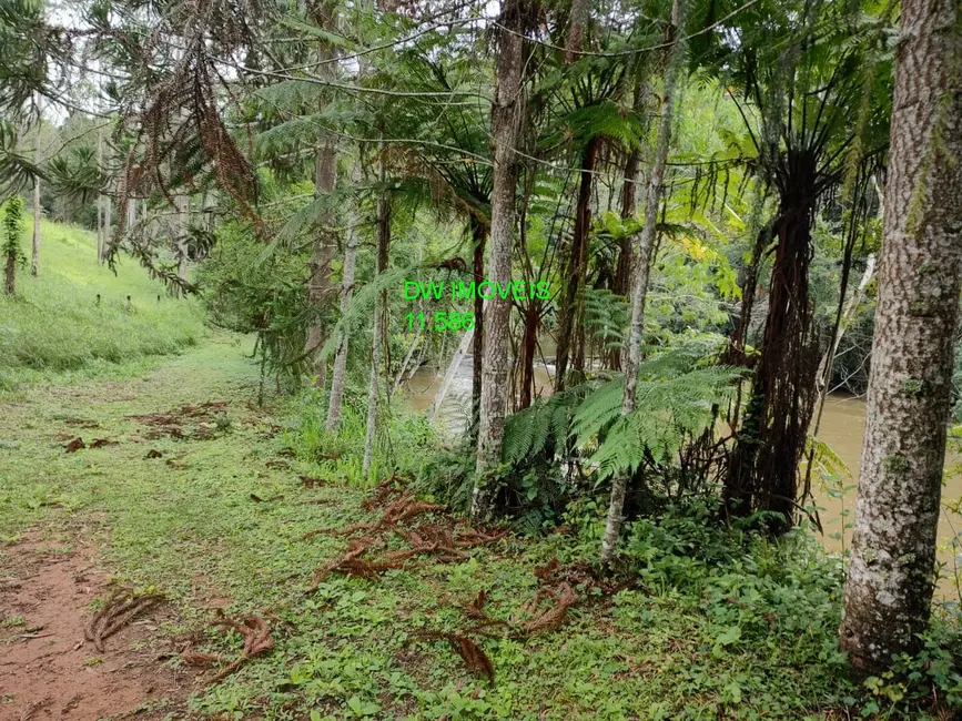 Foto 4 de Sítio / Rancho com 3 quartos à venda, 2000m2 em Juquitiba - SP