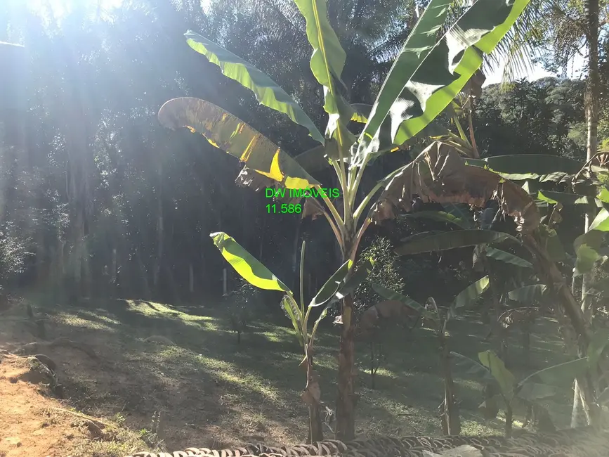 Foto 4 de Sítio / Rancho com 2 quartos à venda, 25000m2 em Juquitiba - SP