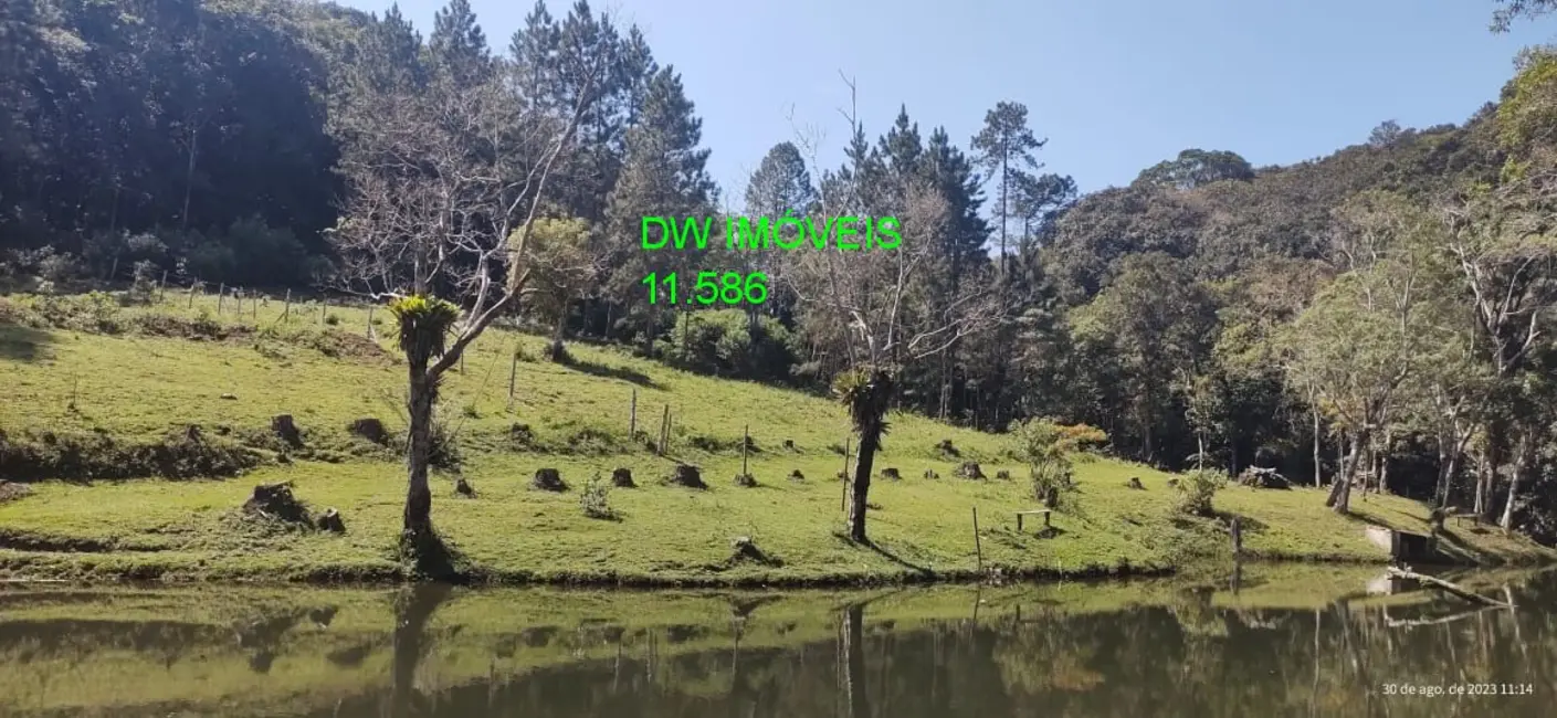 Foto 5 de Sítio / Rancho com 3 quartos à venda em Centro, Juquitiba - SP