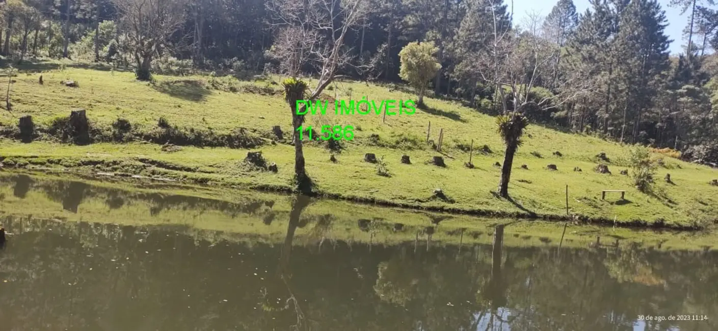 Foto 6 de Sítio / Rancho com 3 quartos à venda em Centro, Juquitiba - SP