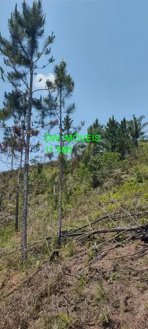 Foto 3 de Terreno / Lote à venda, 1362m2 em Centro, Juquitiba - SP