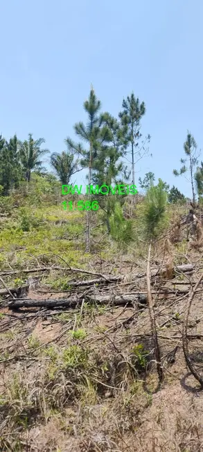 Foto 9 de Terreno / Lote à venda, 1362m2 em Centro, Juquitiba - SP
