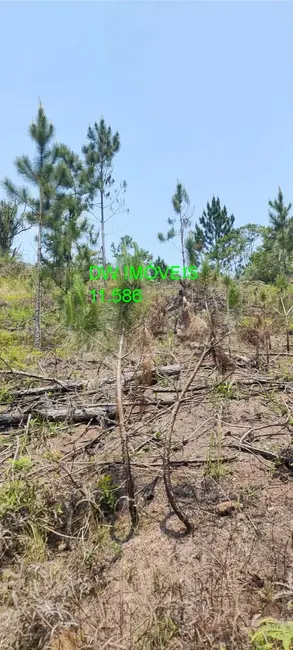 Foto 8 de Terreno / Lote à venda, 1362m2 em Centro, Juquitiba - SP