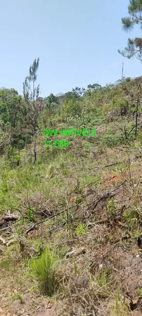 Foto 7 de Terreno / Lote à venda, 1362m2 em Centro, Juquitiba - SP