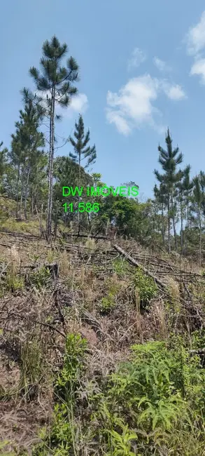 Foto 2 de Terreno / Lote à venda, 1362m2 em Centro, Juquitiba - SP