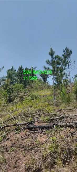 Foto 5 de Terreno / Lote à venda, 1362m2 em Centro, Juquitiba - SP