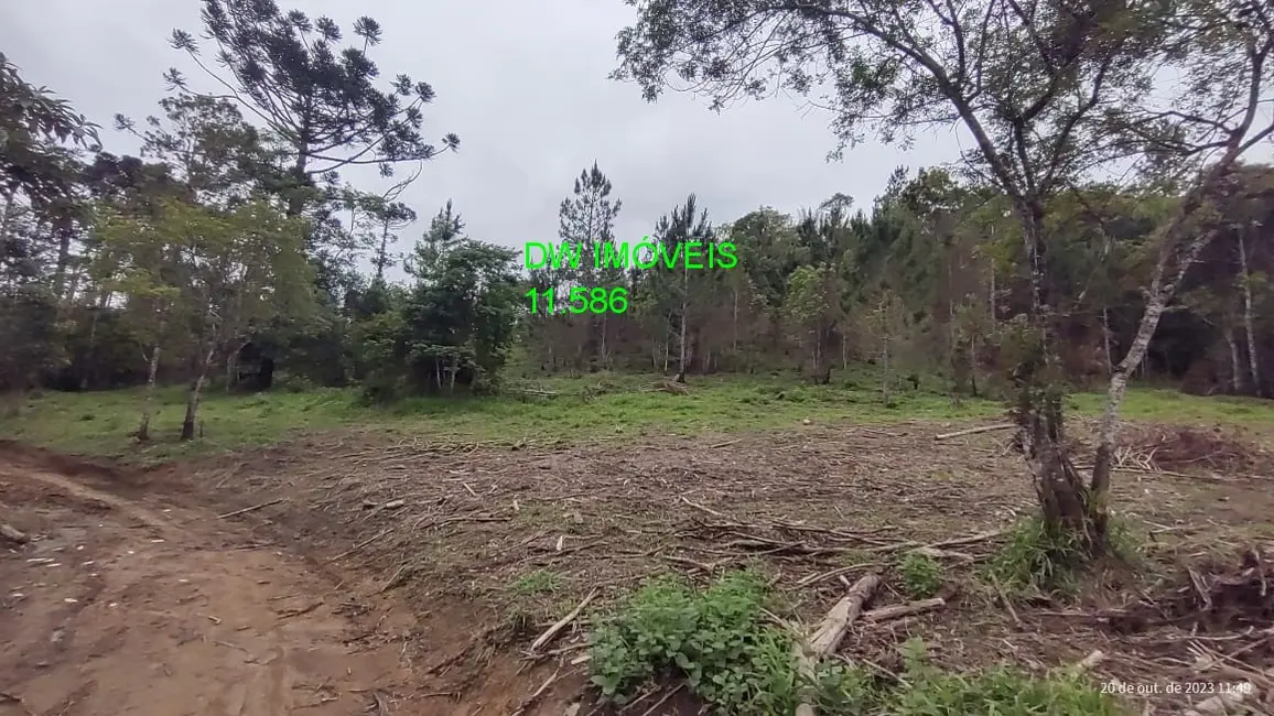 Foto 4 de Terreno / Lote à venda, 20000m2 em Centro, Juquitiba - SP