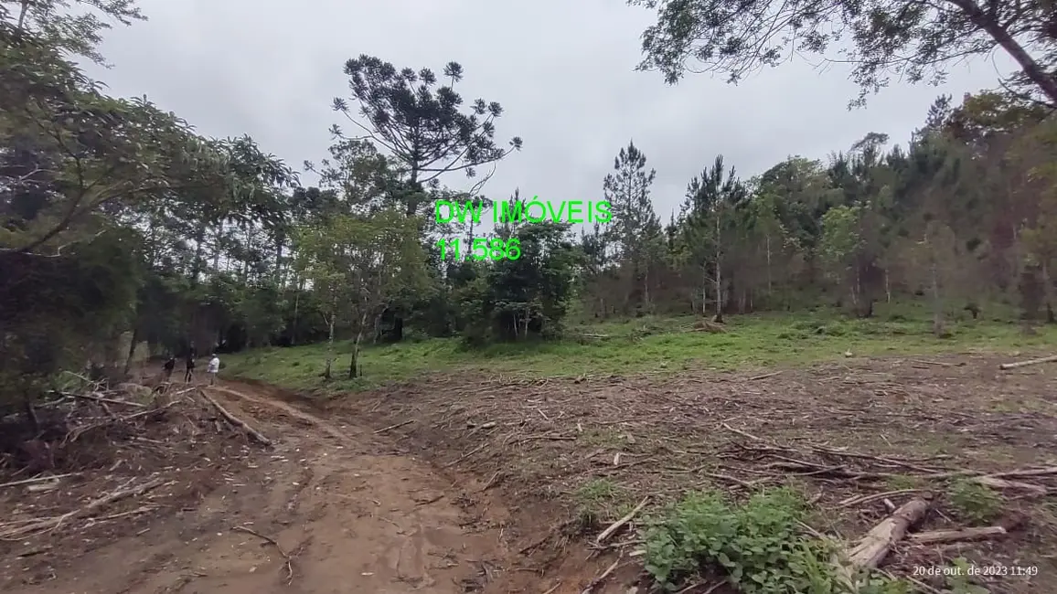 Foto 5 de Terreno / Lote à venda, 20000m2 em Centro, Juquitiba - SP