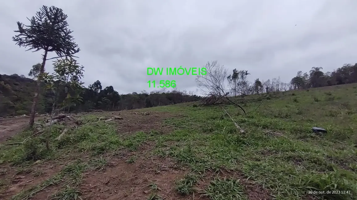 Foto 7 de Terreno / Lote à venda, 20000m2 em Centro, Juquitiba - SP