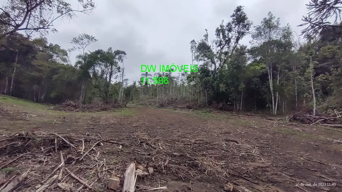 Foto 6 de Terreno / Lote à venda, 20000m2 em Centro, Juquitiba - SP