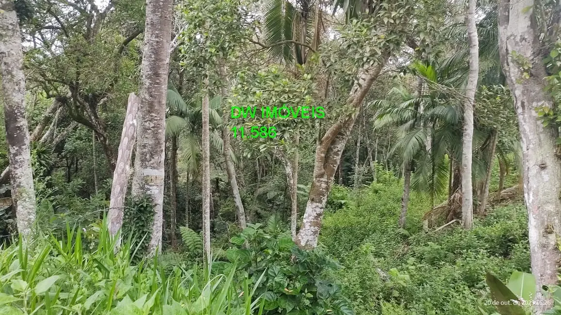 Foto 6 de Terreno / Lote à venda, 360m2 em Centro, Juquitiba - SP