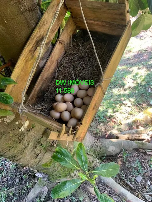 Foto 4 de Sítio / Rancho com 4 quartos à venda, 52000m2 em Centro, Juquitiba - SP