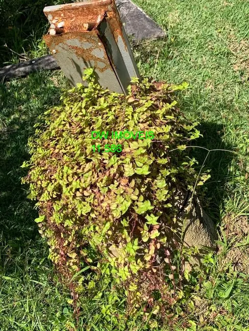 Foto 6 de Sítio / Rancho com 4 quartos à venda, 52000m2 em Centro, Juquitiba - SP