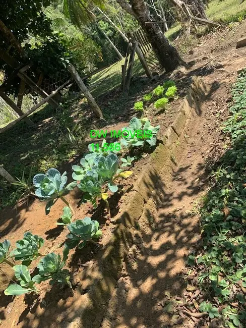 Foto 3 de Sítio / Rancho com 4 quartos à venda, 52000m2 em Centro, Juquitiba - SP