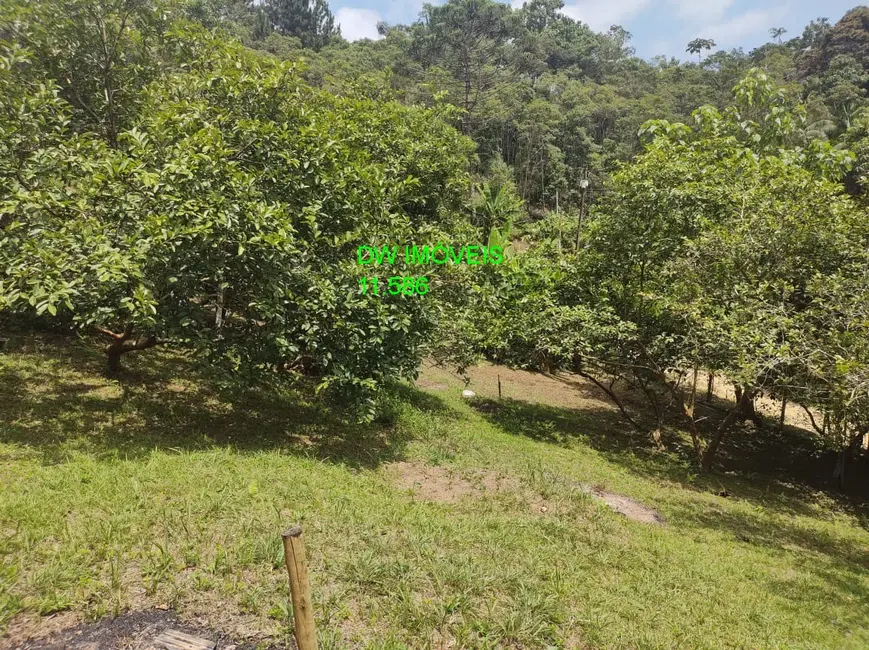 Foto 3 de Sítio / Rancho com 3 quartos à venda e para alugar, 20000m2 em Centro, Juquitiba - SP