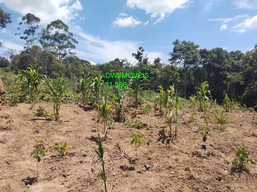Foto 7 de Sítio / Rancho com 3 quartos à venda, 22000m2 em Centro, Juquitiba - SP